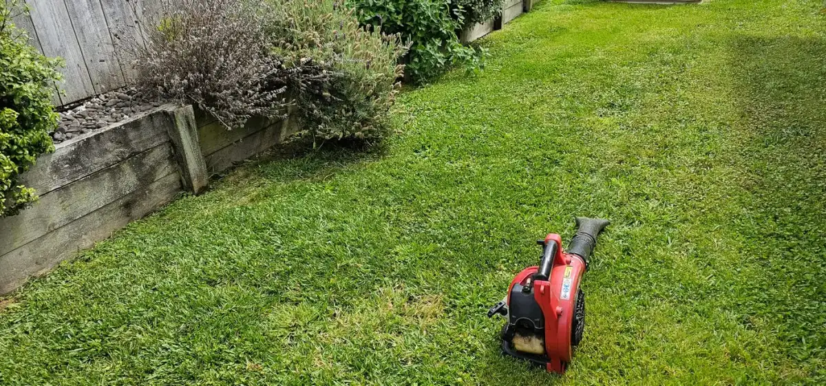 Leaf blower on a tidy lawn after a yard clean-up